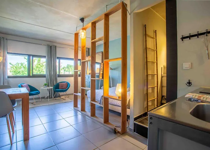 Le Saint Roch 2 - Ac Clim - Wifi - 50M Centre Ville
